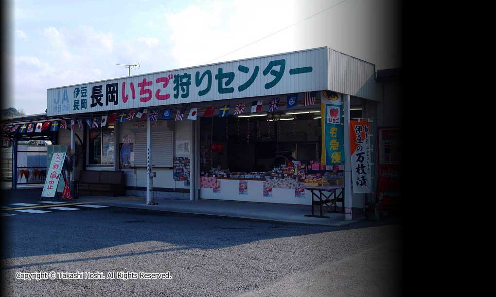 伊豆長岡いちご狩りセンター