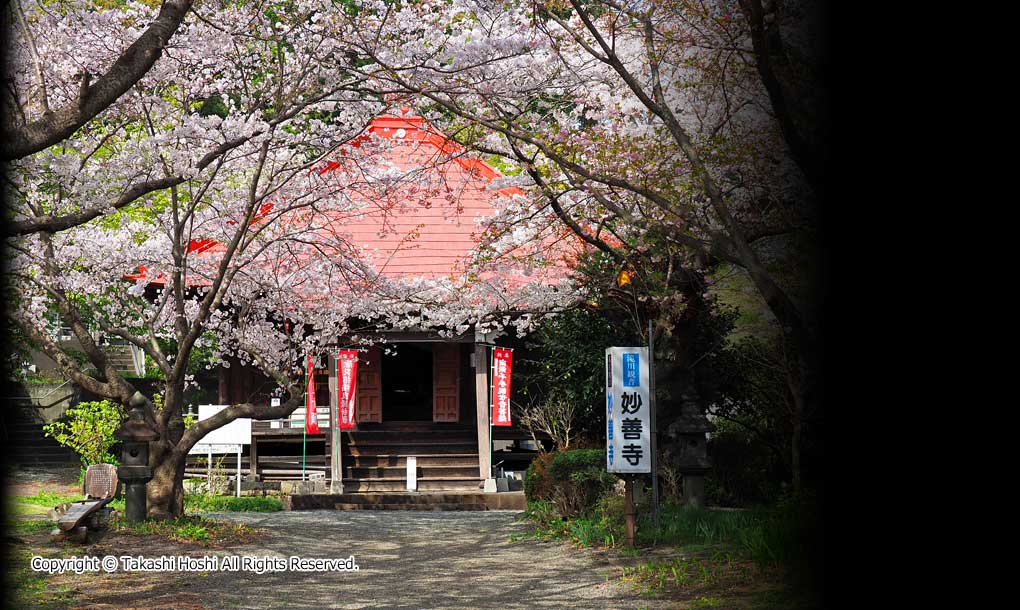 妙善寺