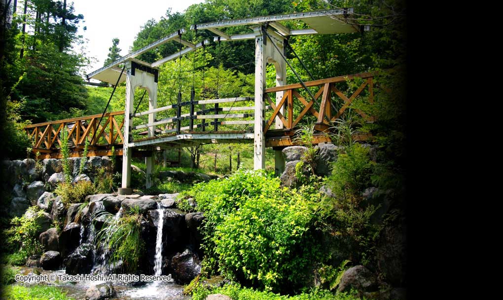 八重桐の池はね橋