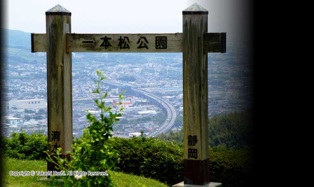 一本松公園