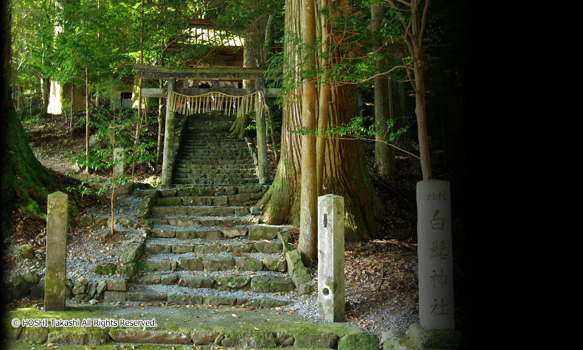 有東木白髭神社