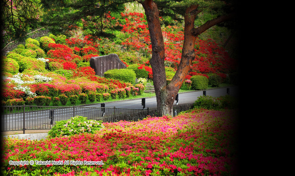 小室山公園