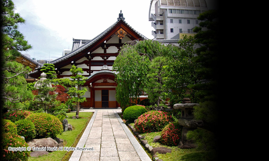 宝泰寺の写真