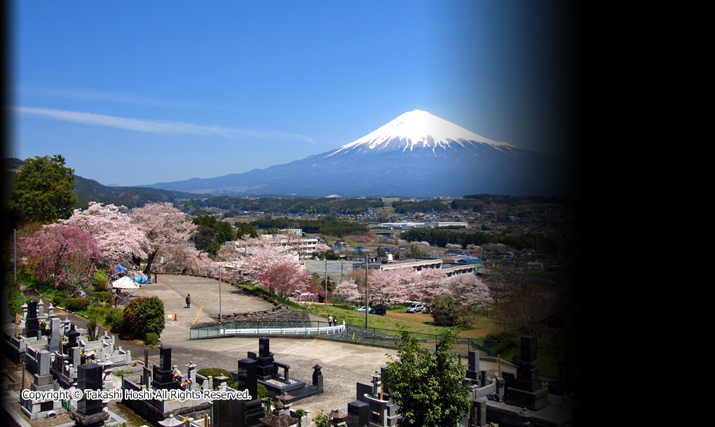 興徳寺