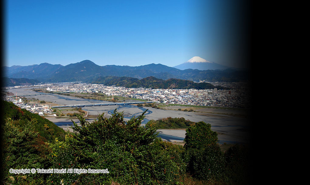 円山花木園