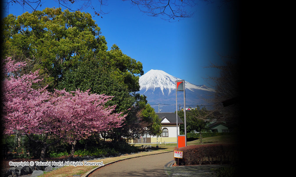 米の宮公園