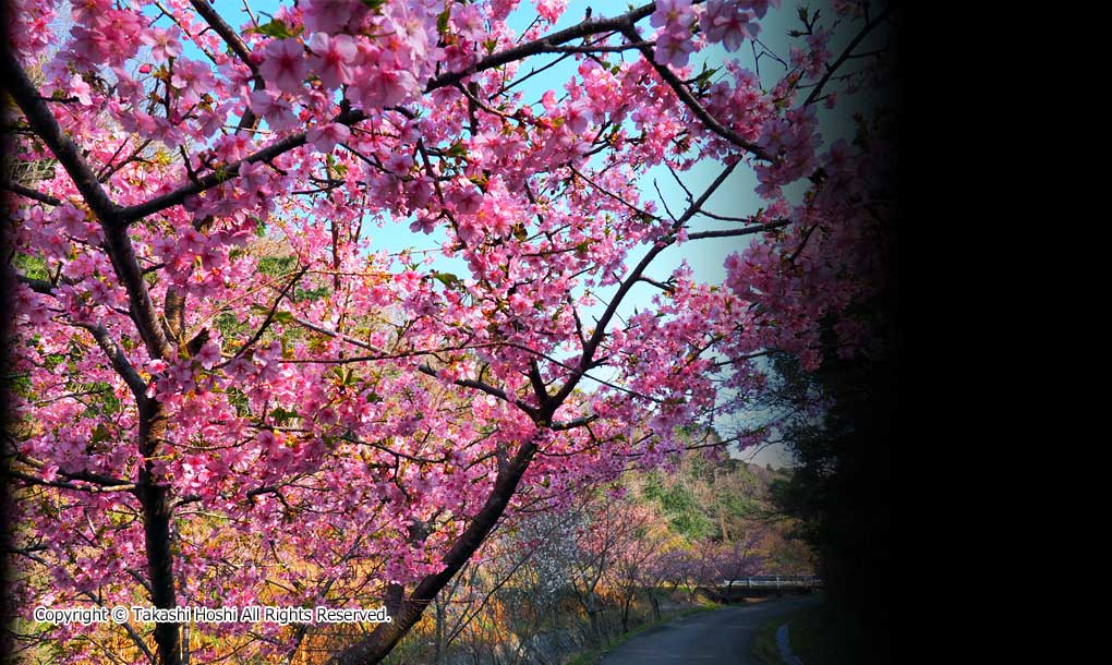 福田沢里山公園の写真