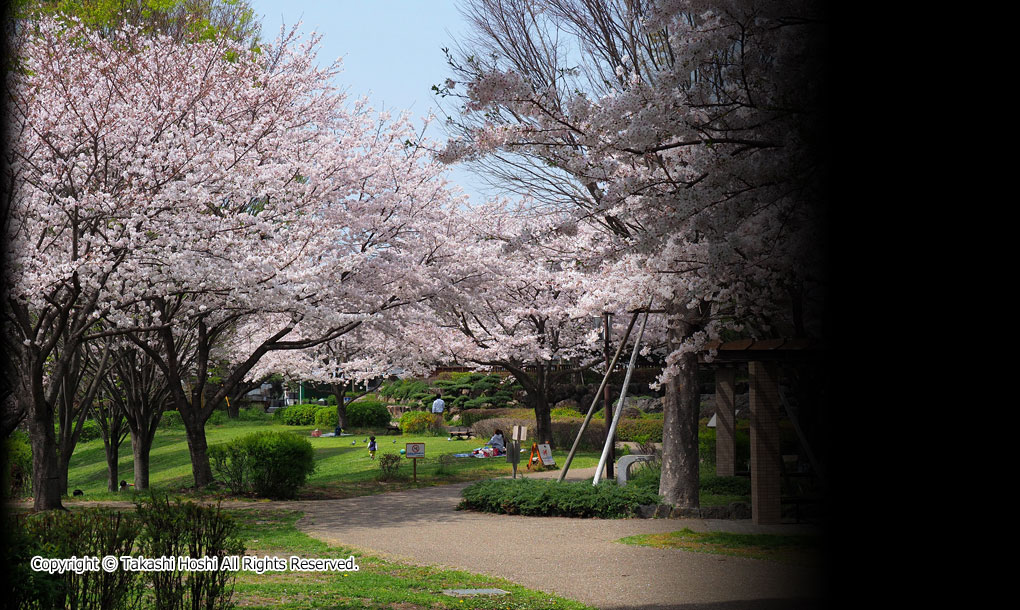 富士西公園