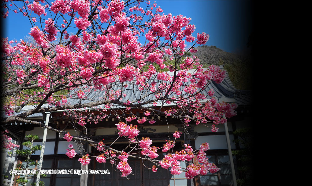 万福寺