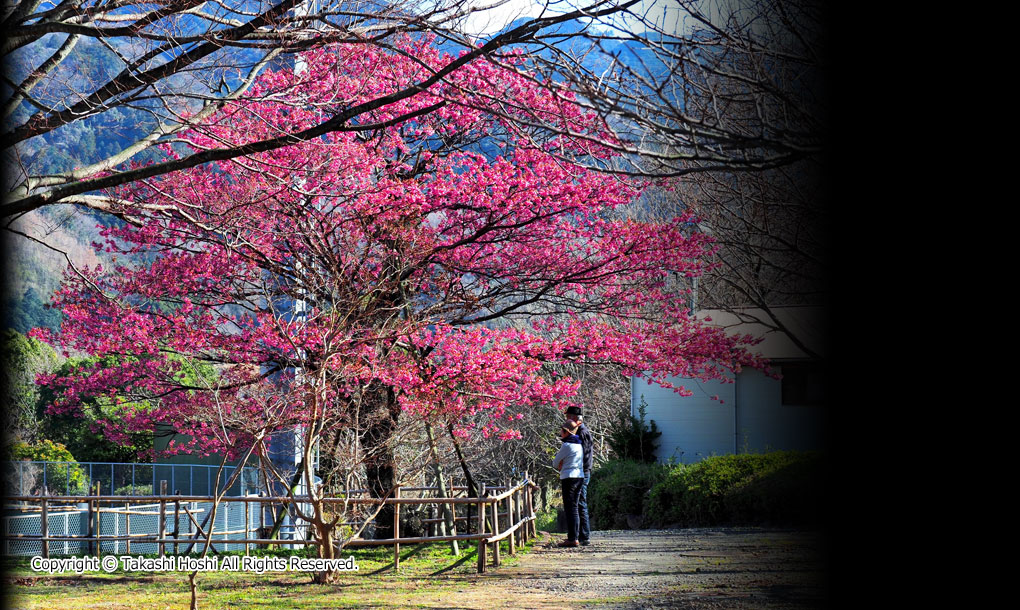 丸山スポーツ公園