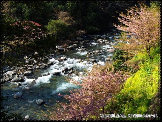 湯ヶ野温泉