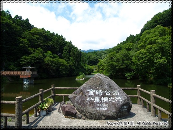 八重桐の池