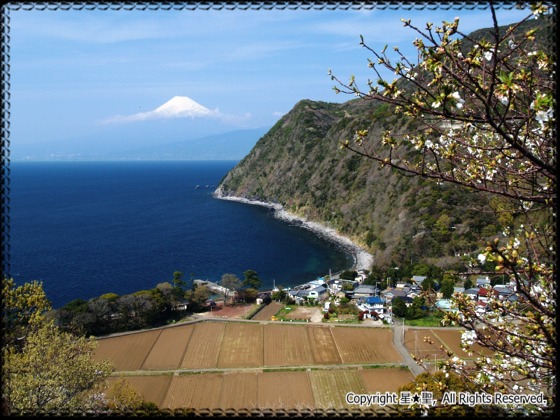 煌めきの丘 戸田 沼津市観光ガイド 駿河湾 百景
