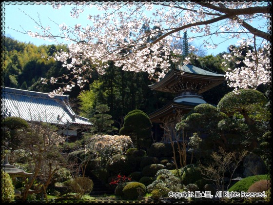 正應院 多宝塔