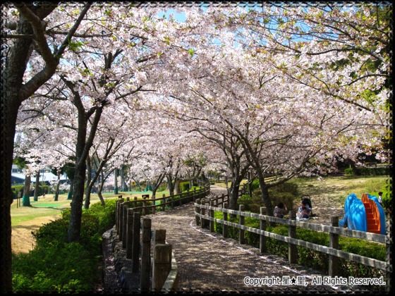 高松緑の森公園