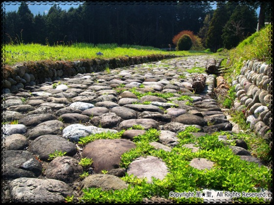 旧東海道石畳 菊川坂