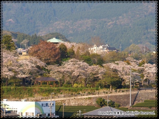 天王山公園