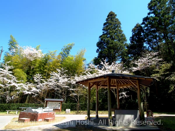 静岡口側の明治のトンネル入口前広場