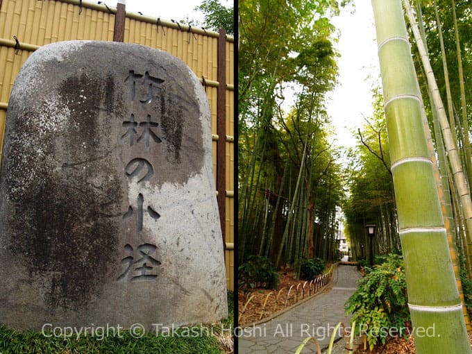 竹林の小径の石碑と孟宗竹