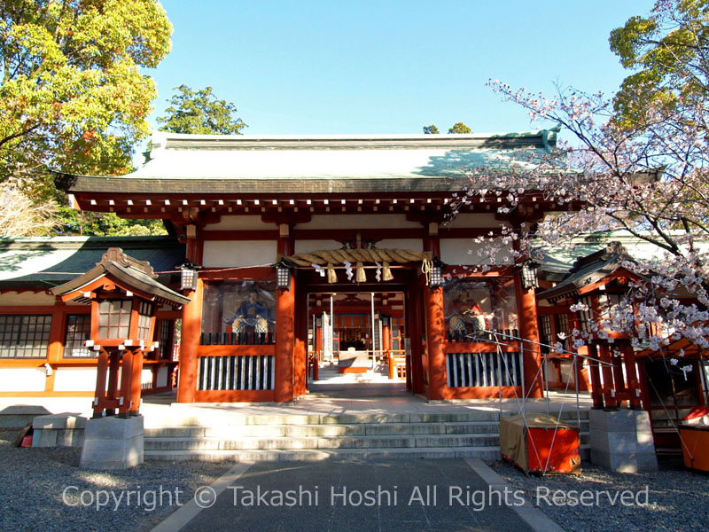 大歳御祖神社 神門