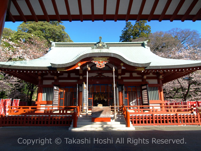 大歳御祖神社 拝殿