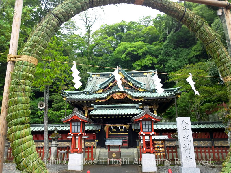 八千戈神社 大茅の輪