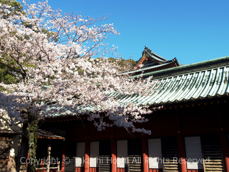 静岡浅間神社 回廊