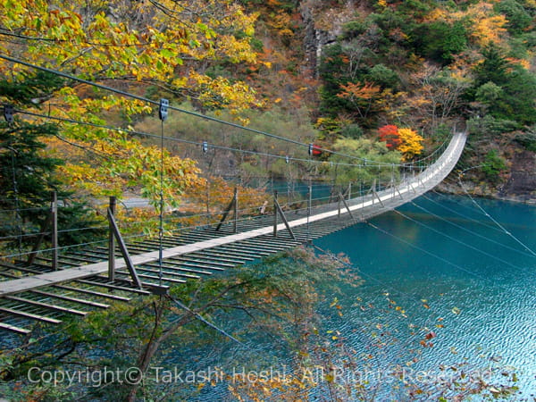 夢の吊橋