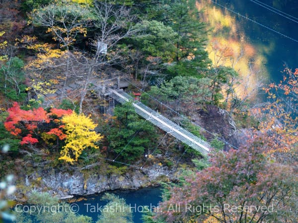 夢の吊橋