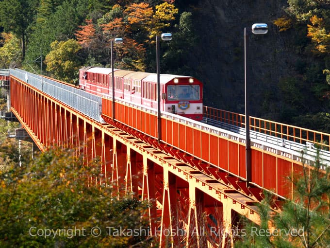 レインボーブリッジを行くトロッコ列車