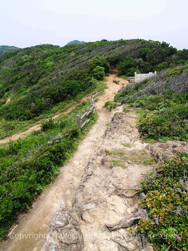 タライ岬の先端に続く遊歩道