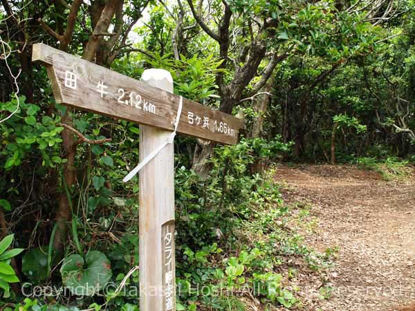 タライ岬のハイキングコース
