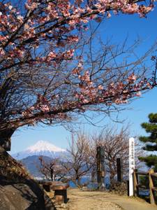 さった峠の東海道標と石碑と富士山