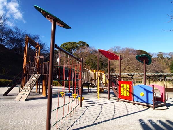 複合遊具がある蓮華寺池公園の子供広場