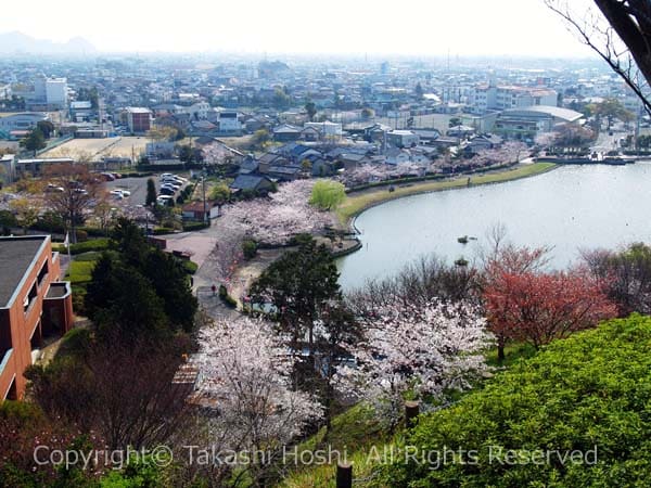 蓮華寺池公園の芝生広場からの絶景