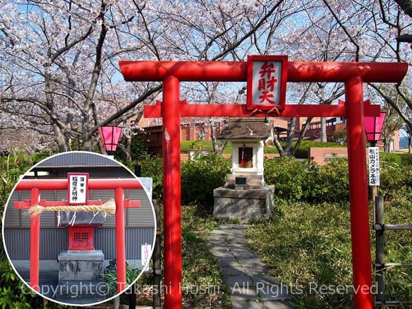 弁財天と蓮華寺稲荷大明神