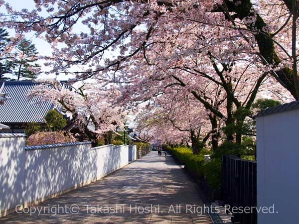 大石寺の東裏塔中の写真