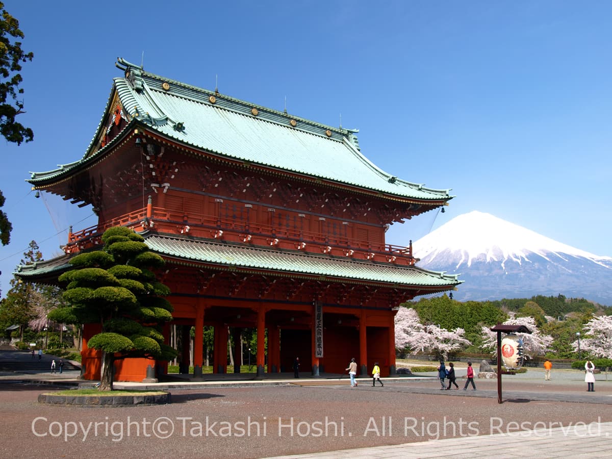 大石寺三門と富士山の写真