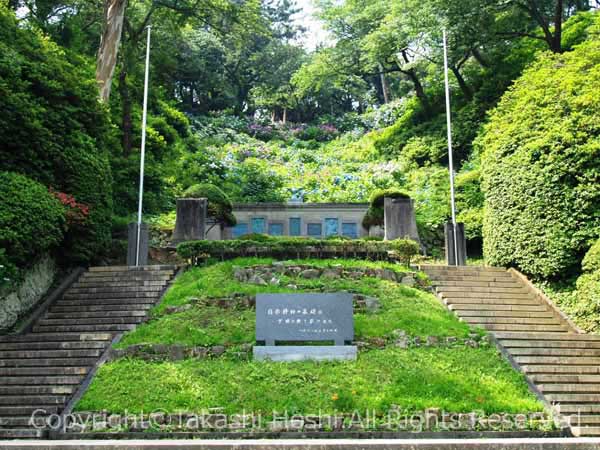 開国記念碑に咲く紫陽花の写真