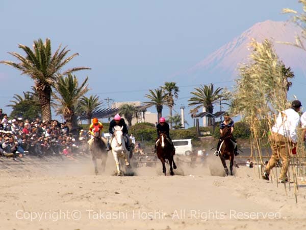 富士山をバックに疾走する相良競走馬