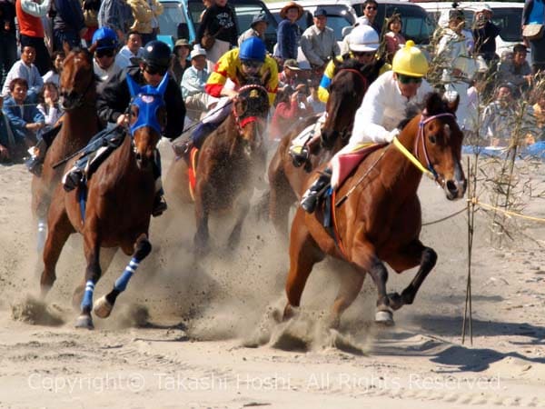 大迫力の相良草競馬大会の決勝レースの写真