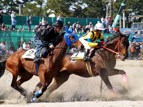 真剣そのもののさがら草競馬大会の決勝レースの写真