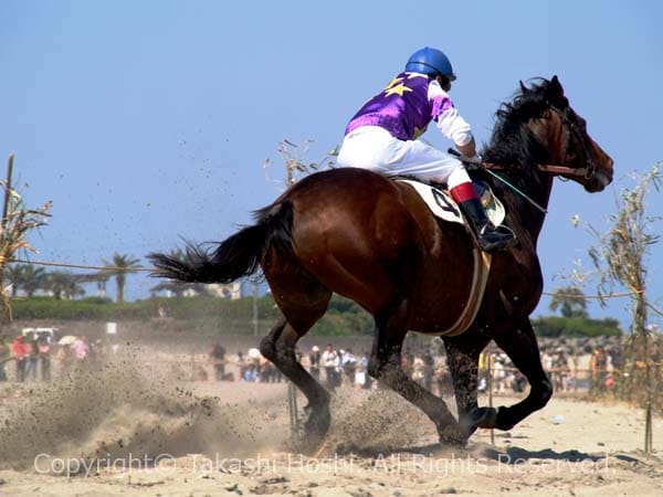 コーナーを駆け抜ける競走馬の写真