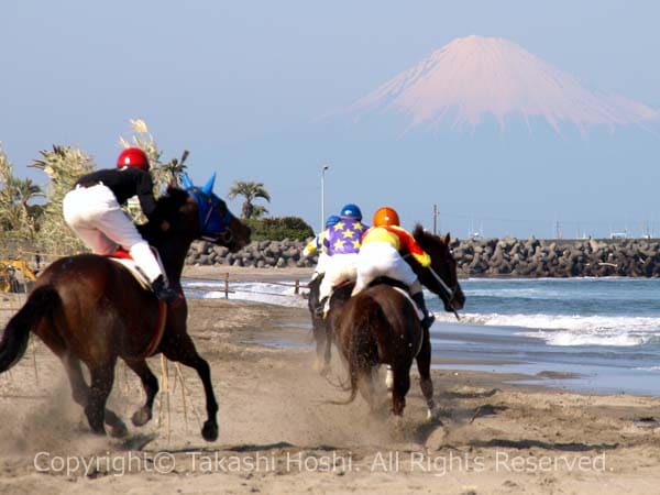 富士山目掛けて走り抜ける競走馬たち