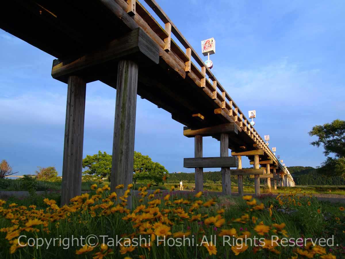 蓬莱橋 島田市観光ガイド 駿河湾 百景