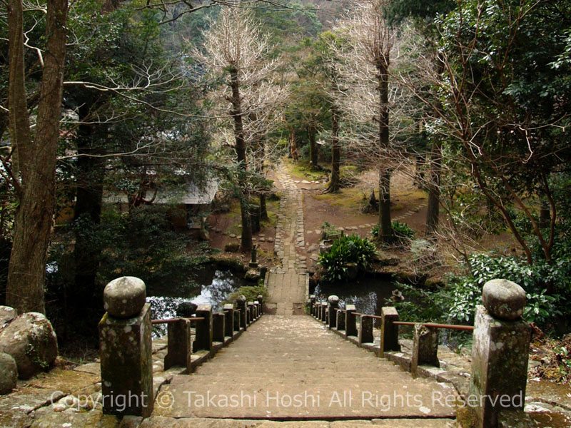 修禅寺奥の院の石段