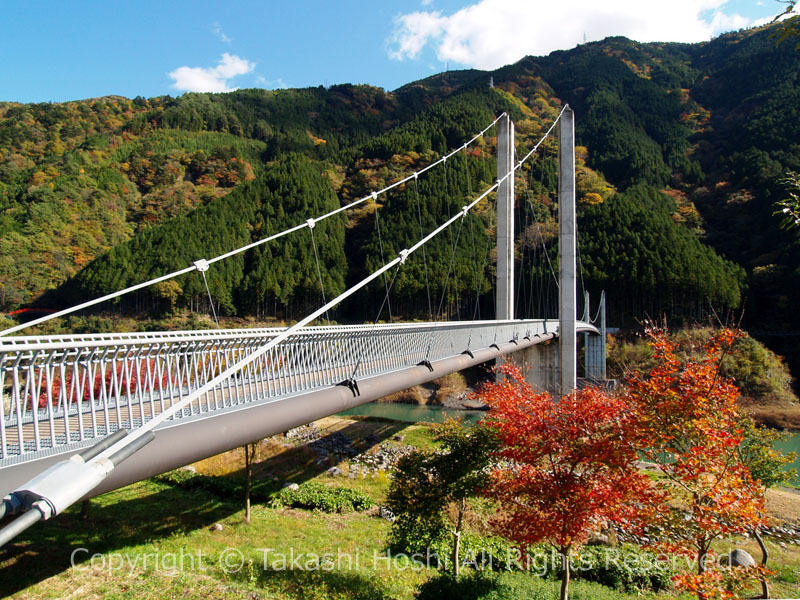 南アルプス接岨大吊橋