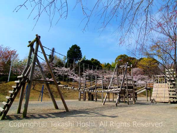 清水船越堤公園のトリム広場のアスレチック