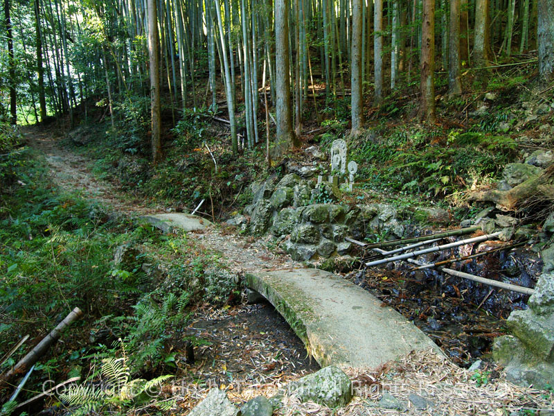 白藤の滝遊歩道