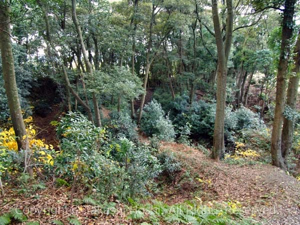 小山城の三重堀